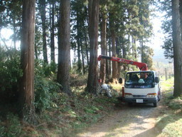 �{���Č����L