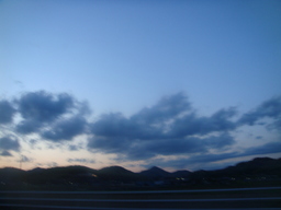 �{���Č����L