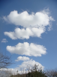 �{���Č����L