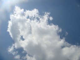 �{���Č����L