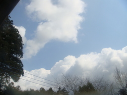 �{���Č����L