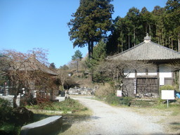 �{���Č����L