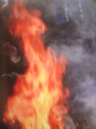 �{���Č����L