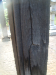 �{���Č����L