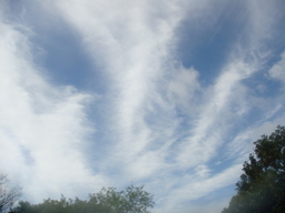 �{���Č����L