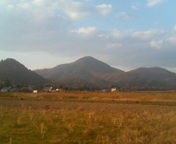 �{���Č����L