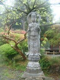 �{���Č����L