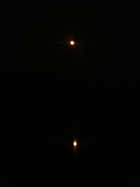 �{���Č����L