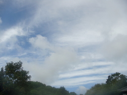 �{���Č����L