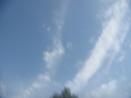 �{���Č����L