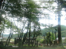 �{���Č����L