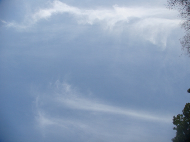 �{���Č����L