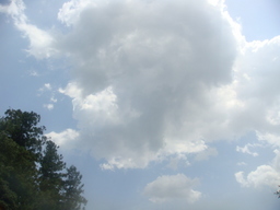 �{���Č����L