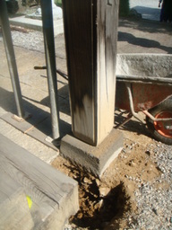 �{���Č����L