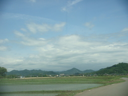 �{���Č����L