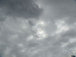 �{���Č����L