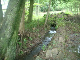 �{���Č����L