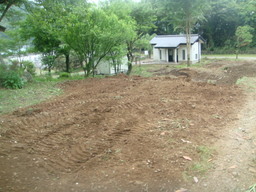 �{���Č����L