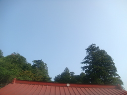 �{���Č����L