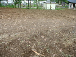 �{���Č����L