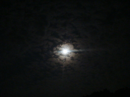 �{���Č����L