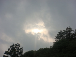 �{���Č����L