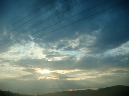 �{���Č����L