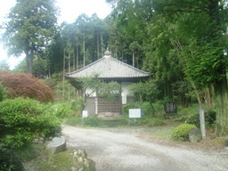 �{���Č����L