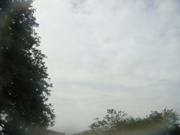 �{���Č����L