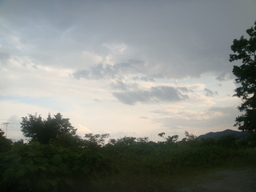 �{���Č����L