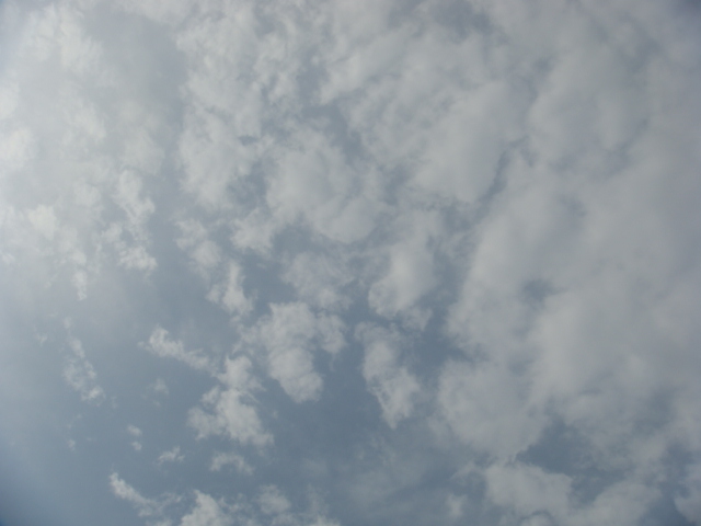 �{���Č����L