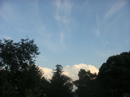 �{���Č����L