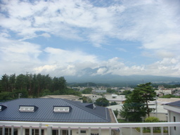 �{���Č����L