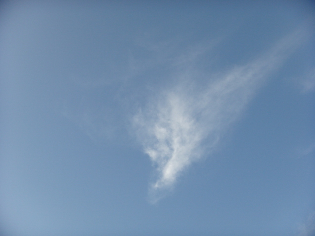 �{���Č����L