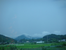 �{���Č����L