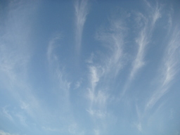 �{���Č����L