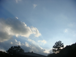 �{���Č����L