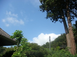 �{���Č����L