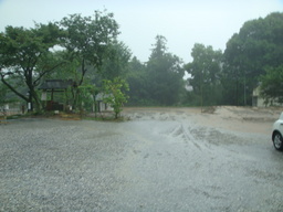 �{���Č����L