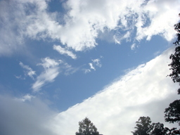 �{���Č����L