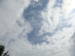 �{���Č����L