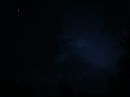 �{���Č����L