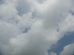 �{���Č����L