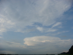 �{���Č����L