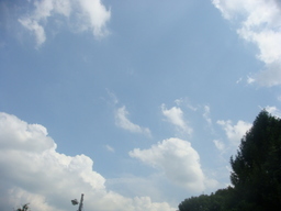 �{���Č����L