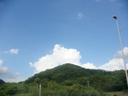 �{���Č����L