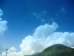 �{���Č����L