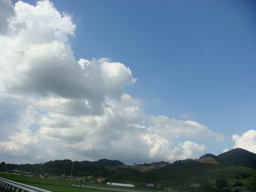 �{���Č����L