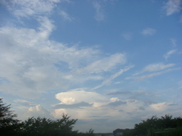 �{���Č����L