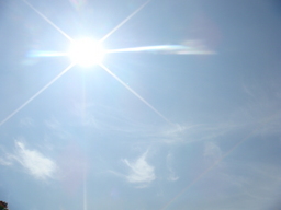 �{���Č����L